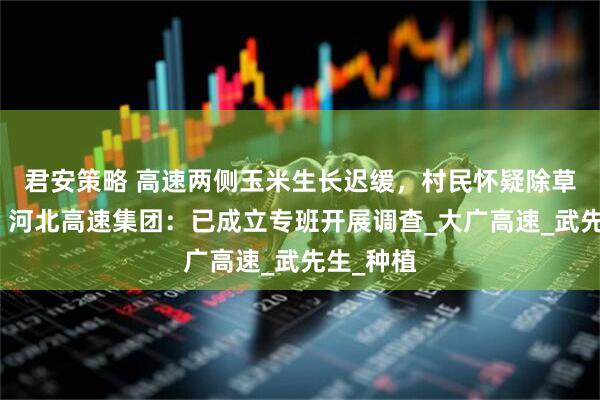 君安策略 高速两侧玉米生长迟缓，村民怀疑除草剂导致，河北高速集团：已成立专班开展调查_大广高速_武先生_种植